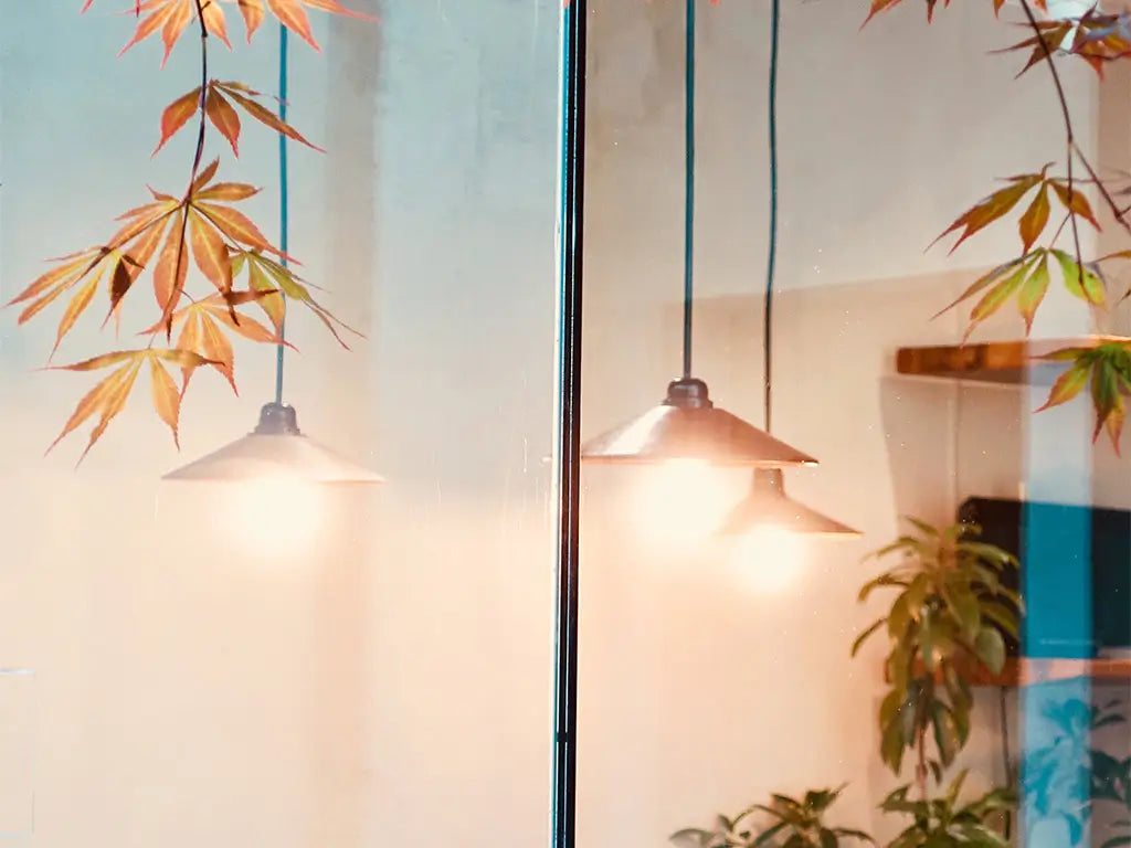 warm light vs cool light